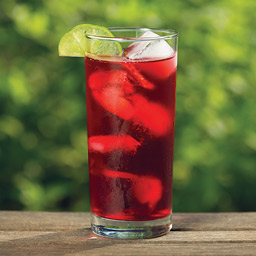 Toddy hibiscus tea placed on table